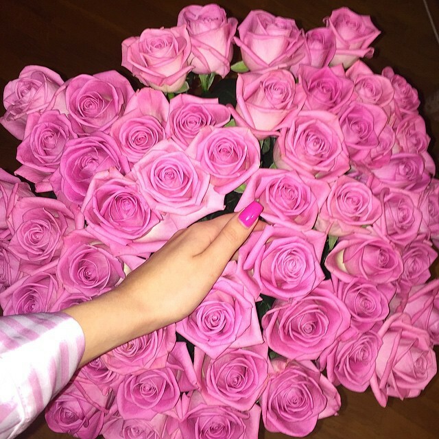 girly, beauty, romantic and pink roses