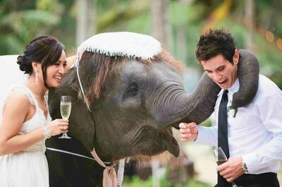 beautiful, bride and wedding dress