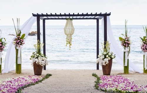 romantic, sea and orchids