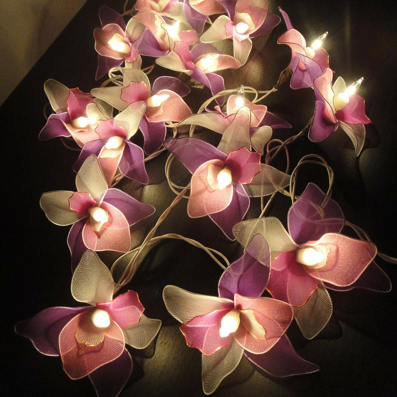flower, orchid, lights and pink