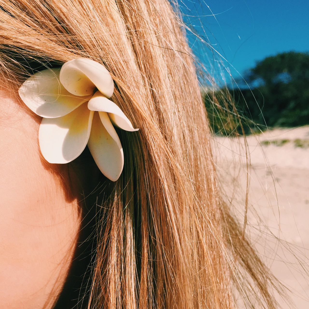 yellow, skin, waves and tropical