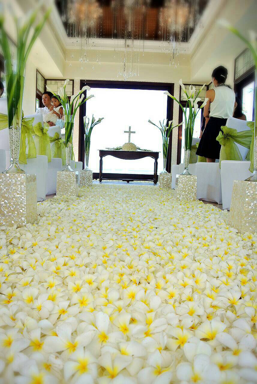congratulation, bali and beautiful
