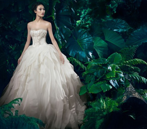 vera, wedding dress and Couture