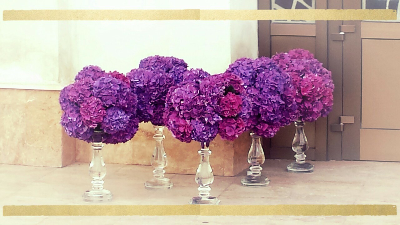 flower, gold, frame and violet