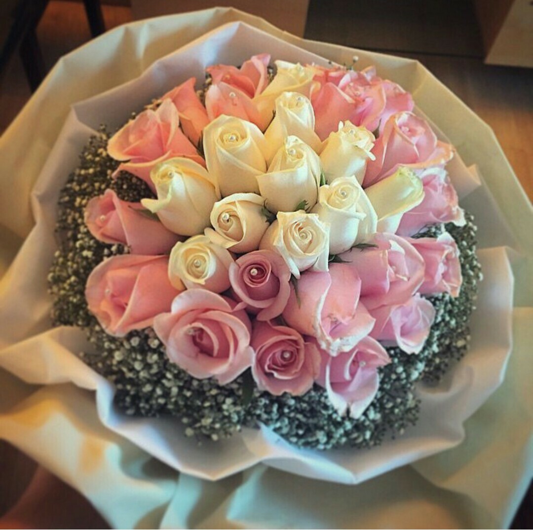 roses, whitepink, flowers and beautiful