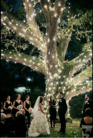 couple, celebration and casamento