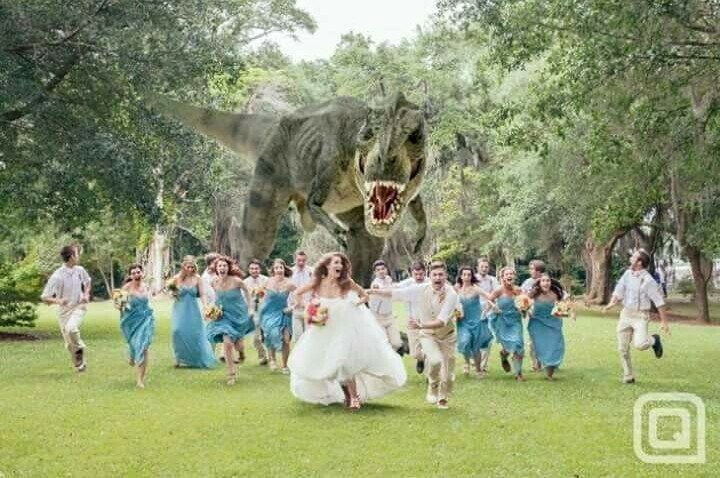 bride, groom, jurassic world and lol