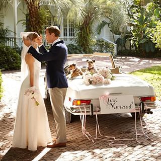 ralph lauren, cute and love