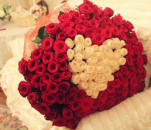 heart, surprise and rose