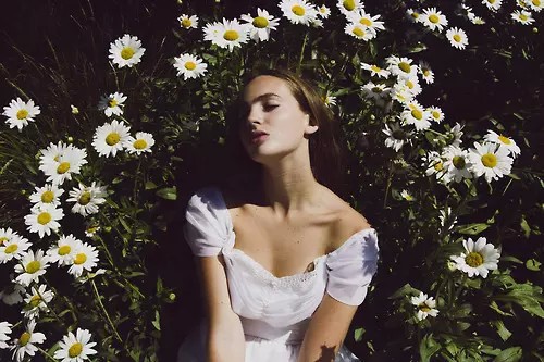 indie, princess and petals