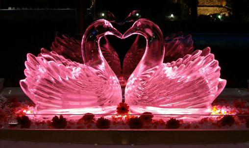 love, swans and ice