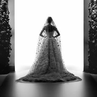 designer, haute couture and wedding gown