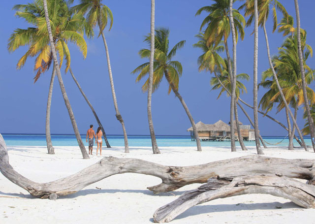 honeymoon, sand, travel and paradise