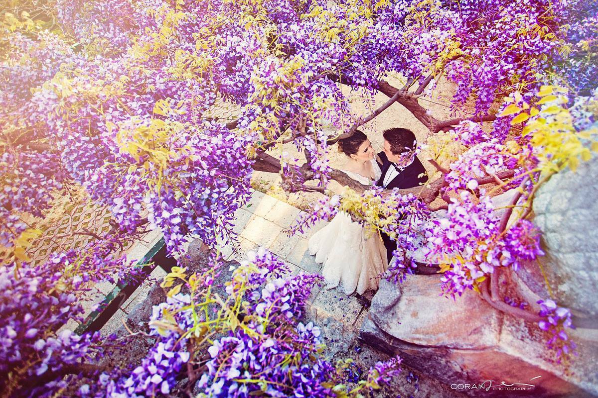 marriage, happiness, love and purple and gold