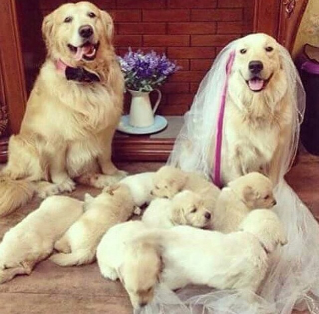 love, aww, beautiful and cute