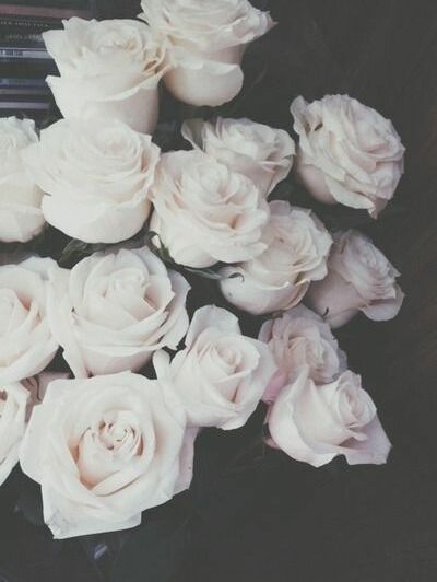 white, flowers and beautiful