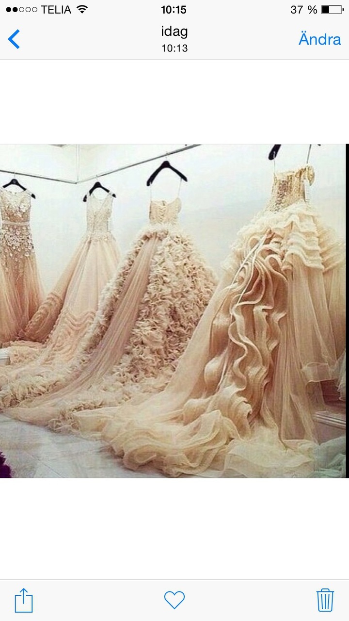 dressed, greatful, wonderful and beauty