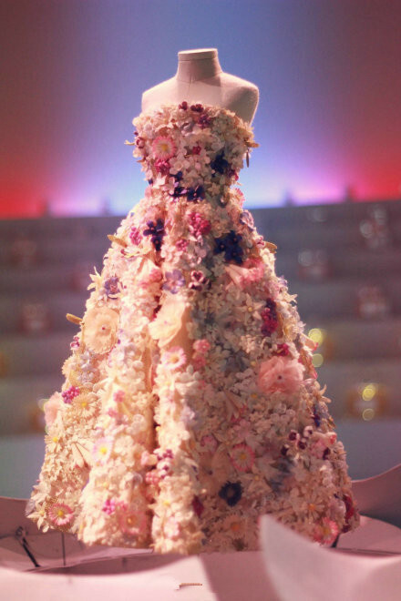 party dresses, fairy dresses and wedding dresses