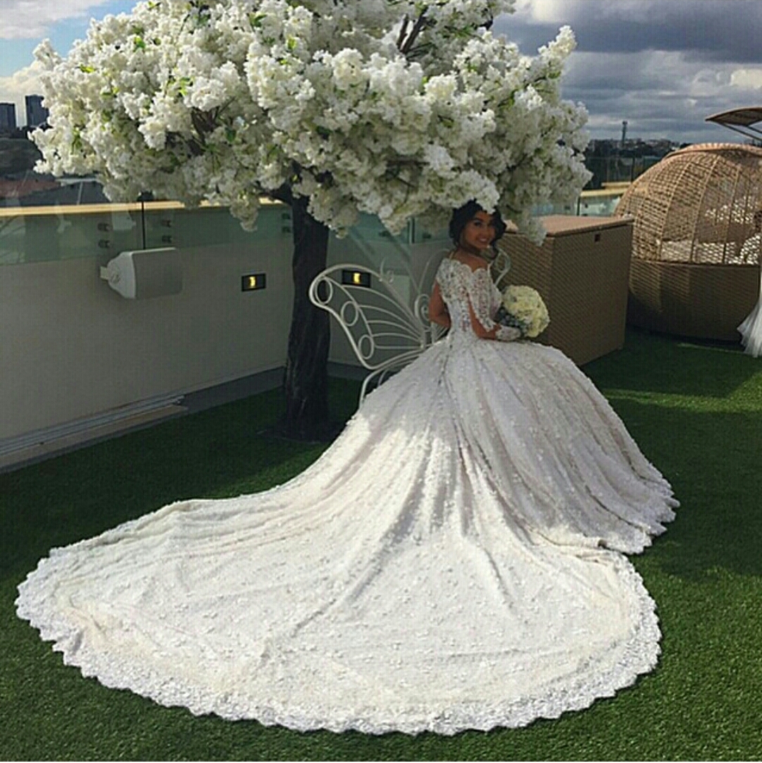 rose, Bulding, white and lace