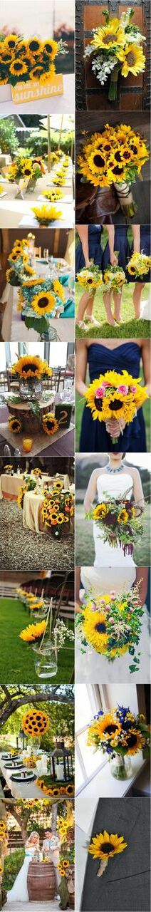 sunflowers and en