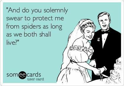 someecards, hate and lol