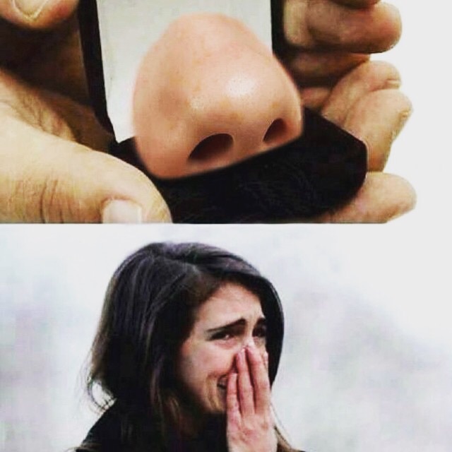marriage, lol, nose and proposal