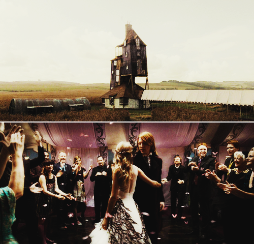 fleur&bill, weasleys and harry potter