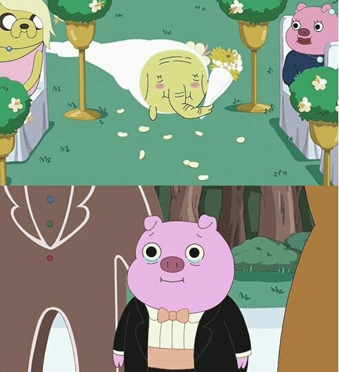 marriage, adventure time, love and cartoons
