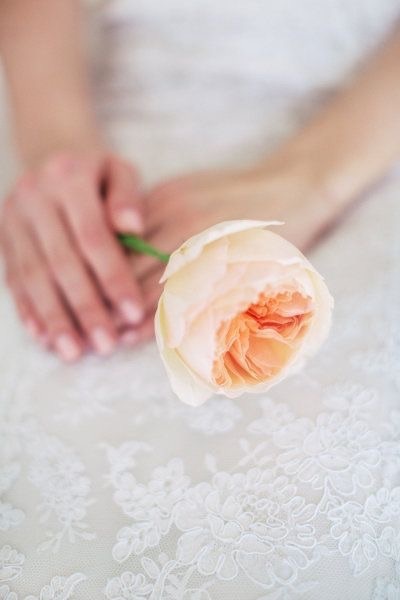 luxury, classic and Prom