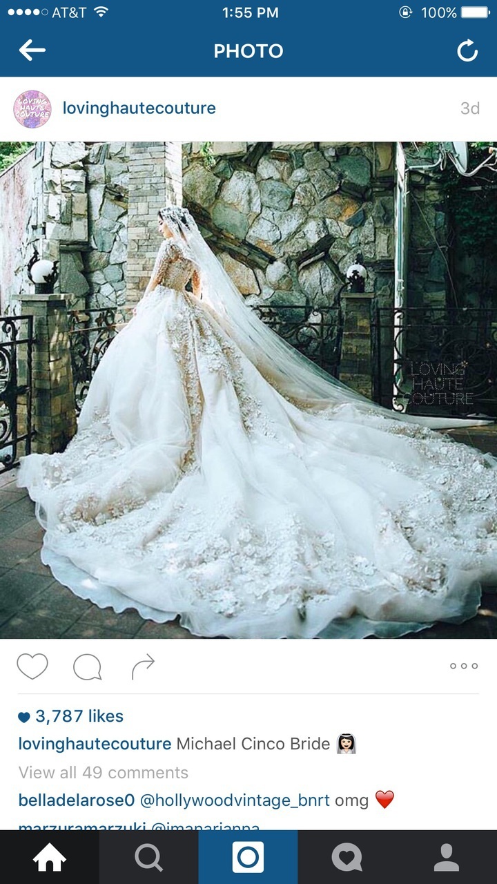 wedding gown, michael cinco and haute couture
