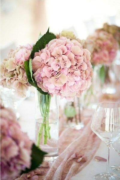 cute, flores and flowers