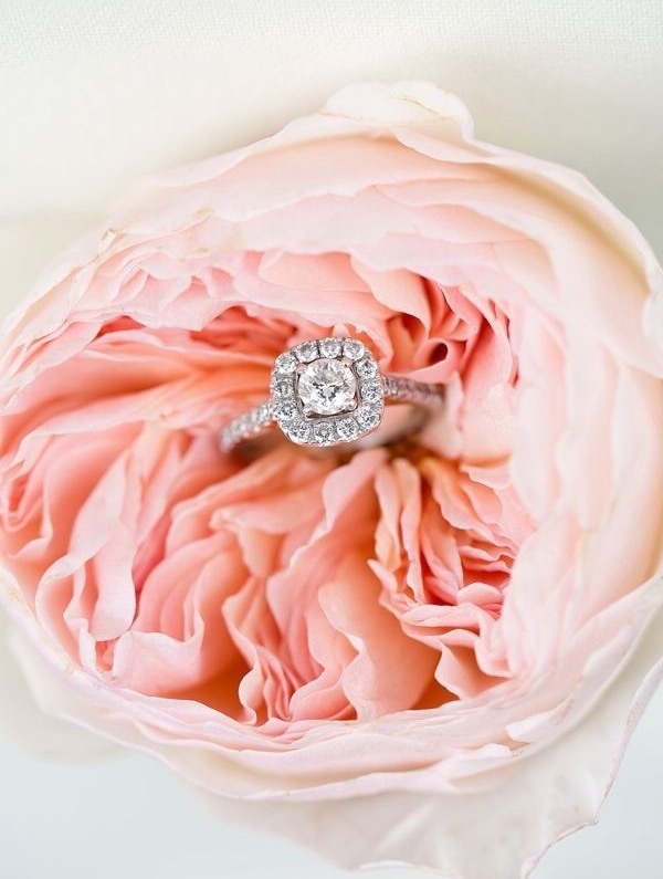 flower, ring, flowers and rose