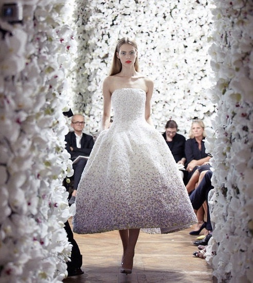 dress, model, runway and modle