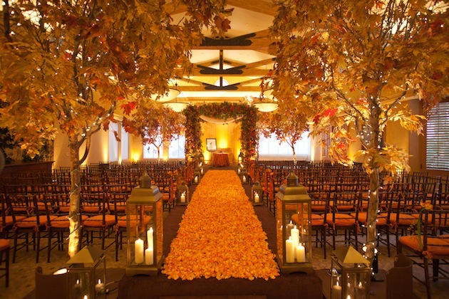orange, beautiful and autumn