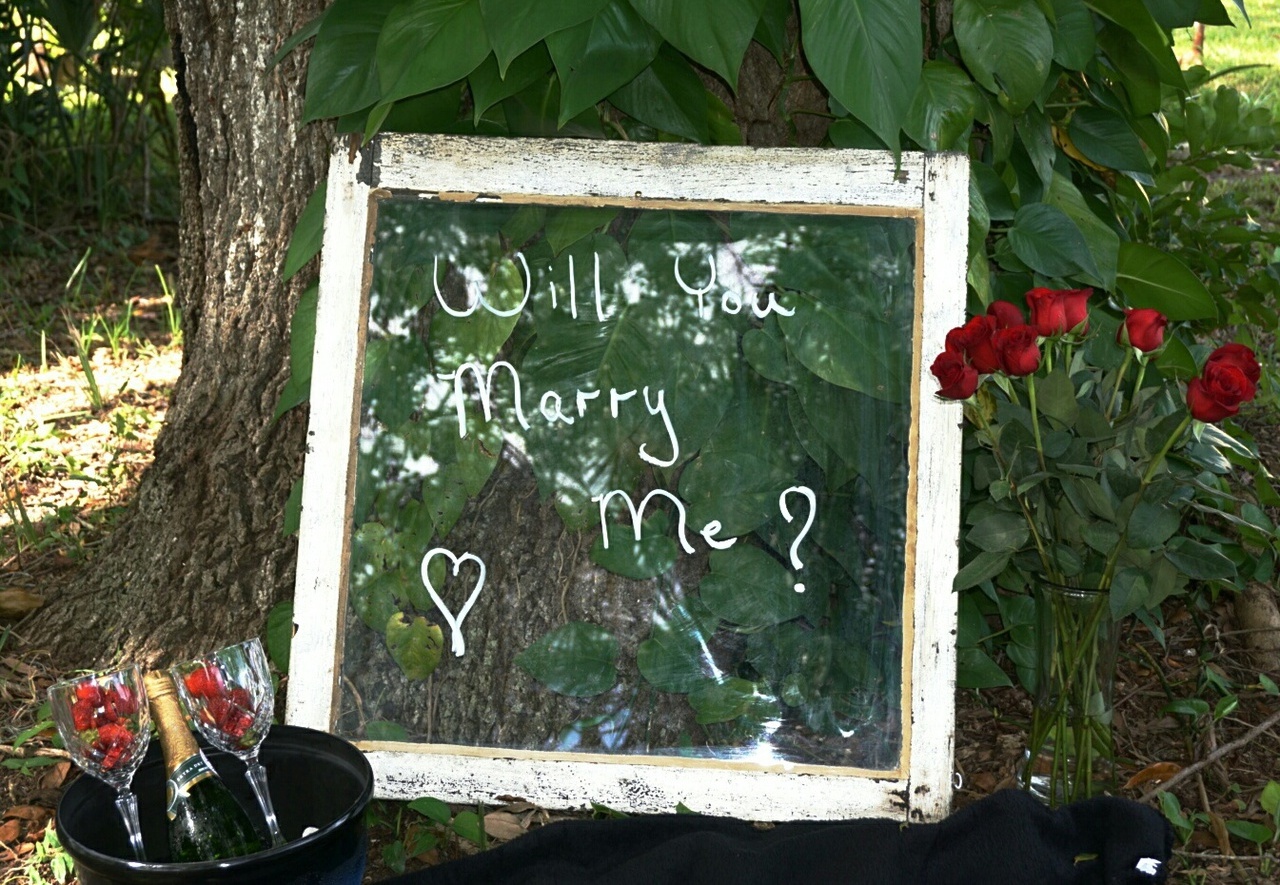 love, proposal, marriage and forever