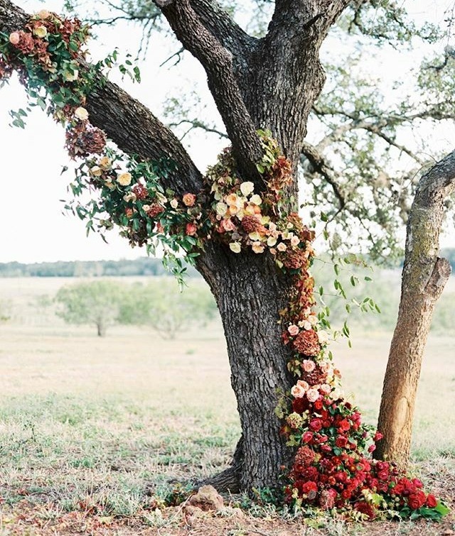 fall wedding, decor, fall and flowers