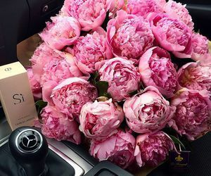 fashion, dressv reviews and beauty