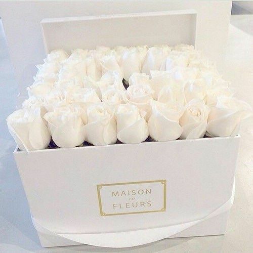 cute, rose, lovely and feminine