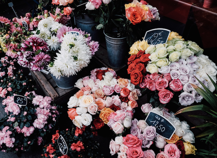 paris, flowers, white and purple