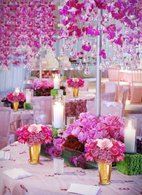 pink, beauty, design and flowers