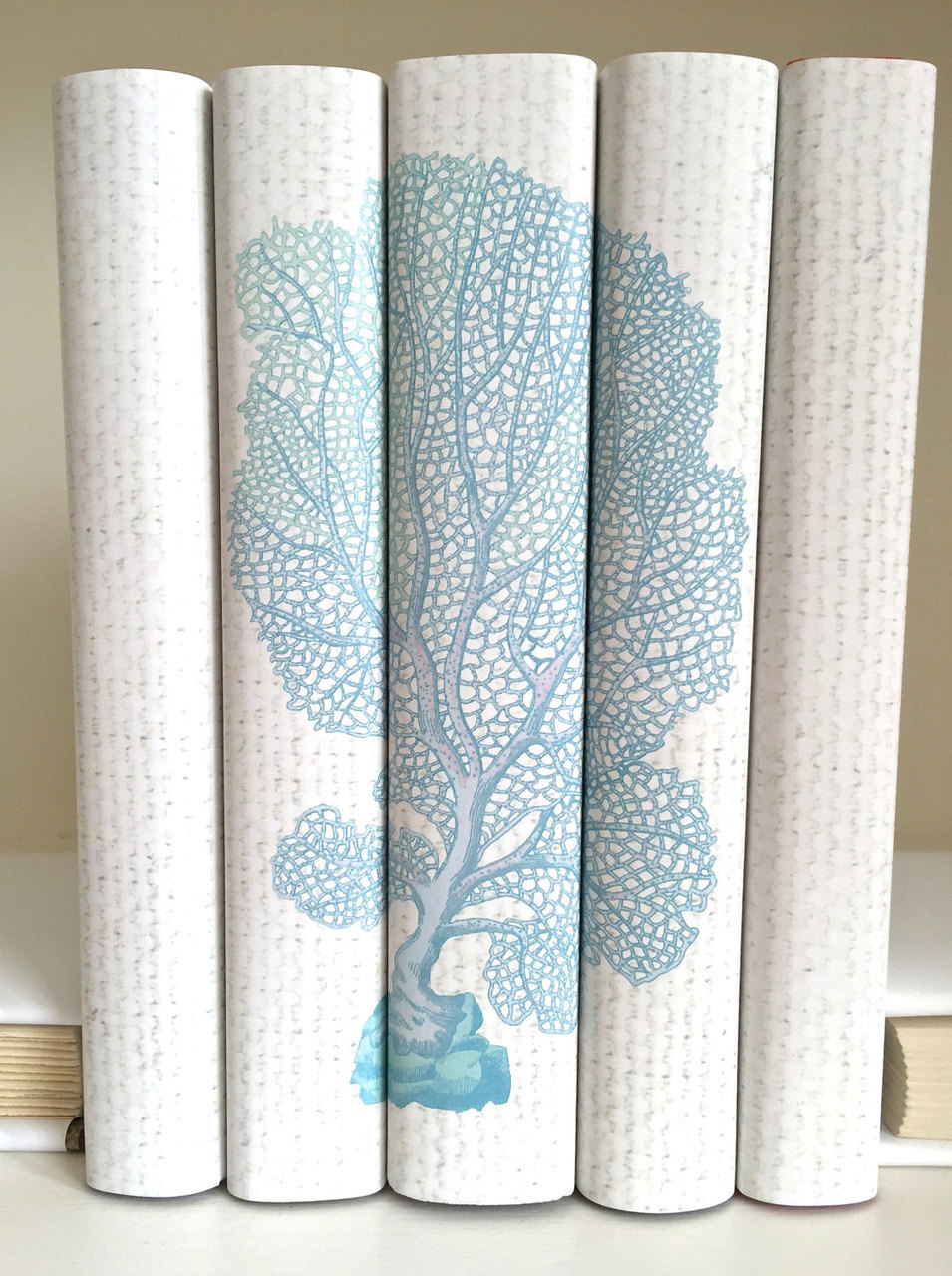 interior design, ivory books, blue books and book decor