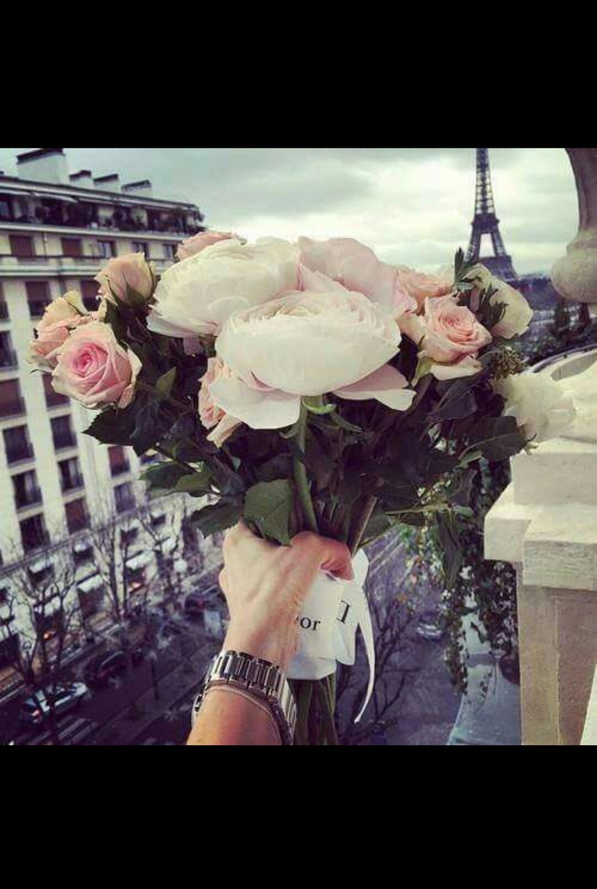 pink, flower, paris and love