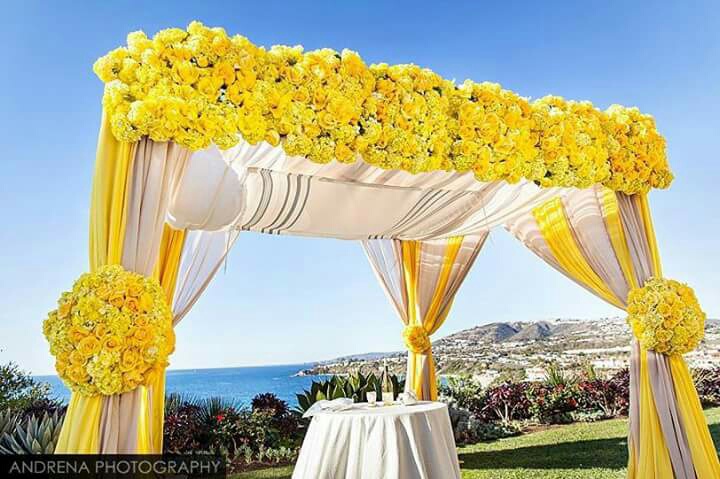 flowers, nature, beautiful and event