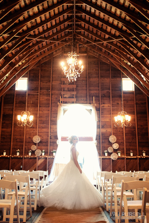 wedding dress, farm, girl and light