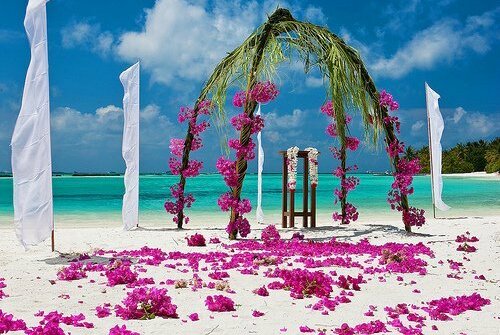 Island, beach and sea