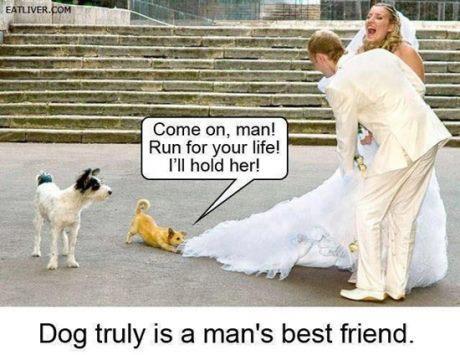 laugh, love and dogs