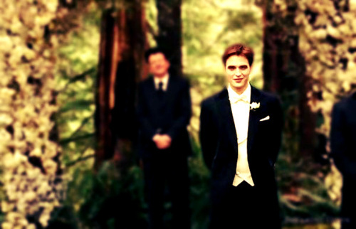 edward cullen, altar and twilight saga