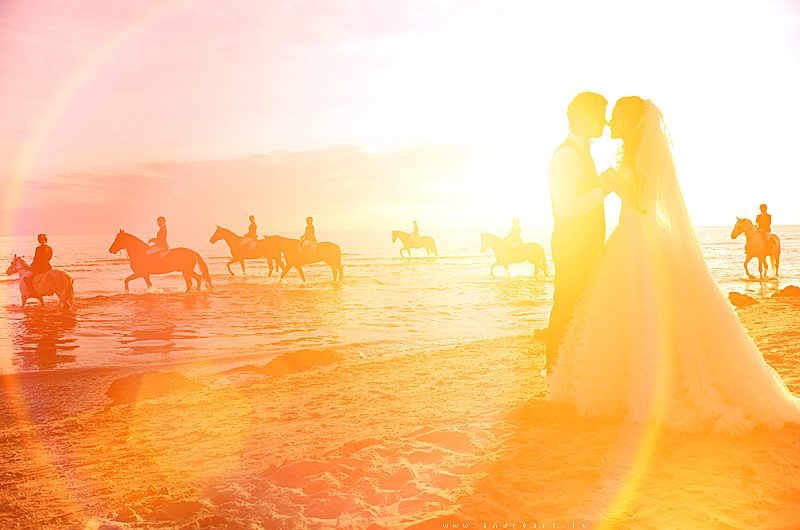 happiness, water, horses and summer