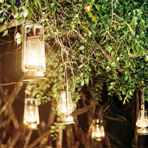 Dream, light and green