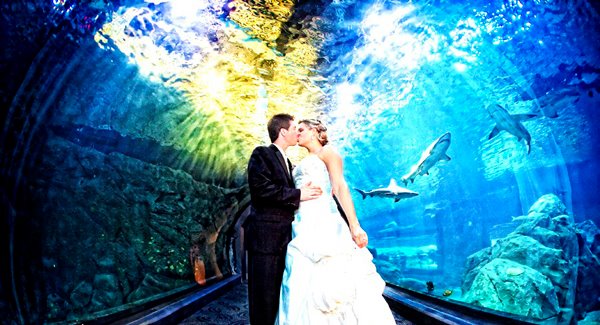 summer, bride and love